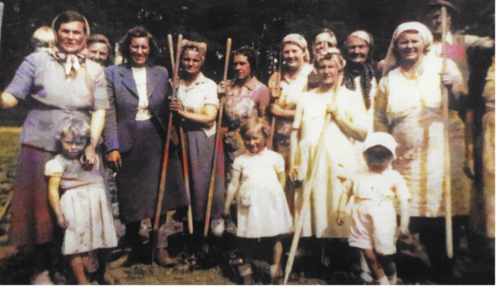 Shifnal beet hoers in the 1950s Shifnal beet hoers in the 1950s